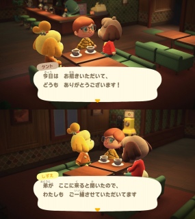 Pgamiibo(1)