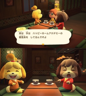 Pgamiibo(2)