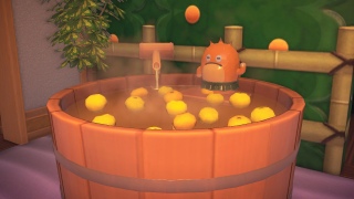 䂸C