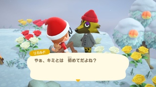 12/24