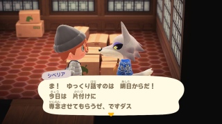 ɂ悤