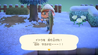 邠