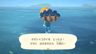 悤₭߂ꂽ
