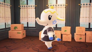 eB[i肪Ƃ