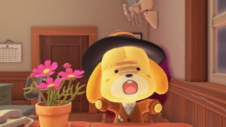 ̂킢