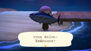 ނꂽ[III