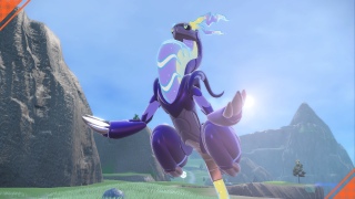 ~