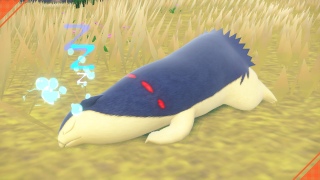 Wʐ^͂ނ@